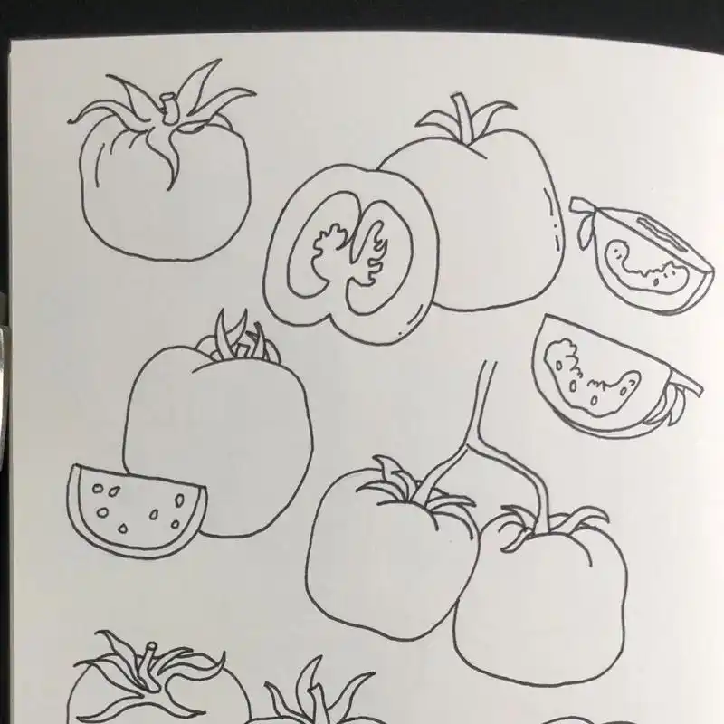 零基础手绘|简笔画|西红柿97 临摹 780902222800¨02