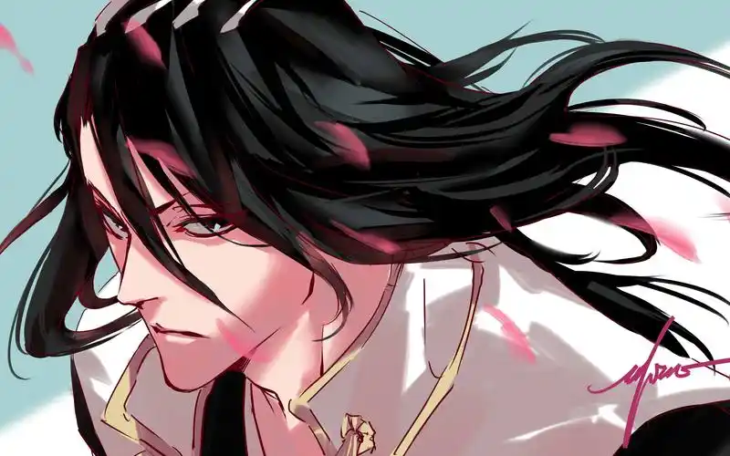 死神人物图鉴14朽木白哉椿高洁与理性