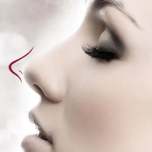 隆鼻审美:什么样的鼻子才是好看的?