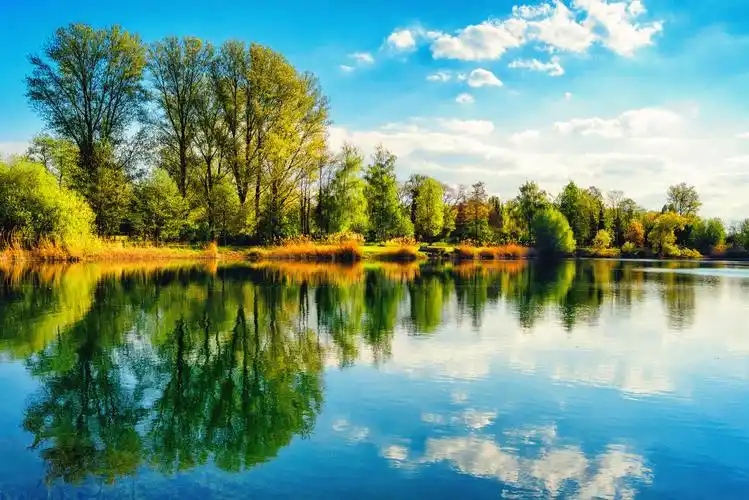 薰衣草花田风景图新明亮自然风景春天蓝天白云一望无际广阔的草原风景