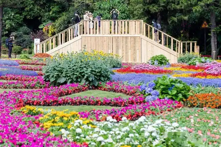 深圳要入夏了?冷空气 8级大风明天到货!