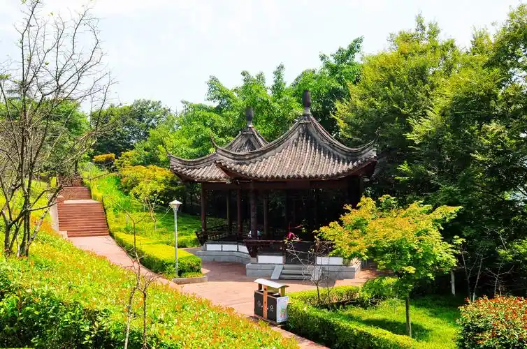 随拍公园重庆涪陵白鹤森林公园