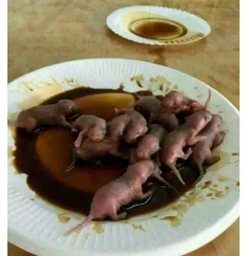 三吱儿,中国十大禁菜之一,极其残忍,极其恶心,胆小的没入哦