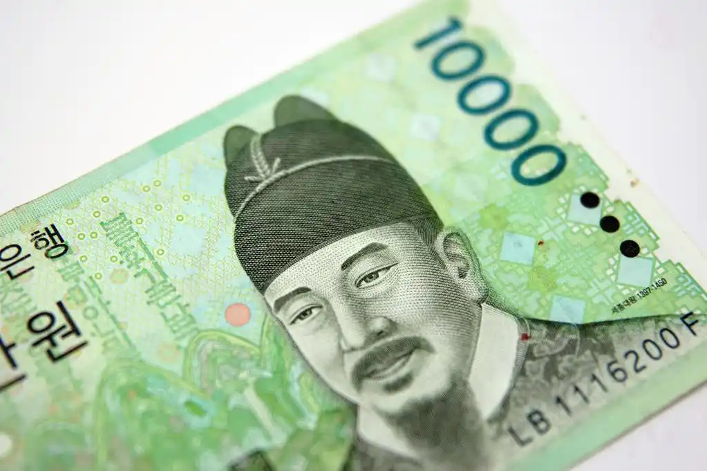 外国的钱,1 万韩元显示前端