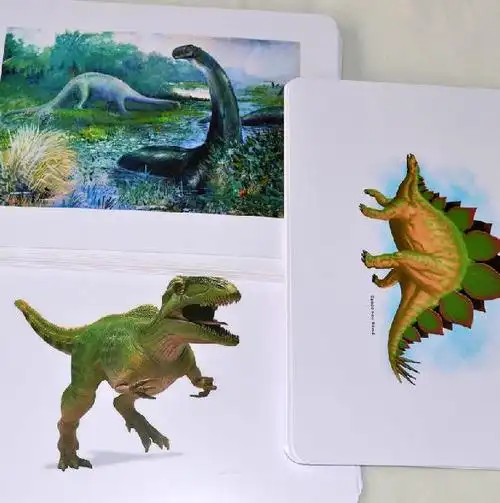 早教闪卡包邮认识恐龙小孩儿识字幼教家庭亲子早教闪卡