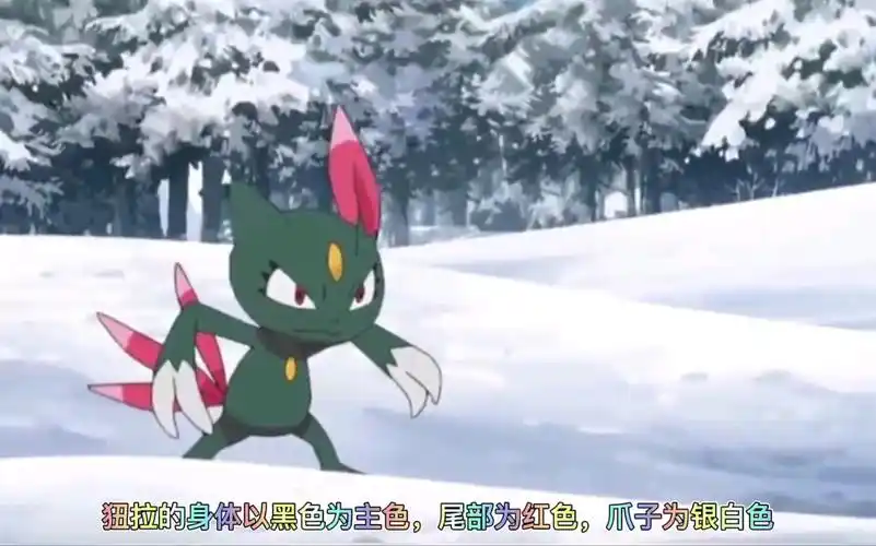 宝可梦图鉴248狃拉含洗翠形态