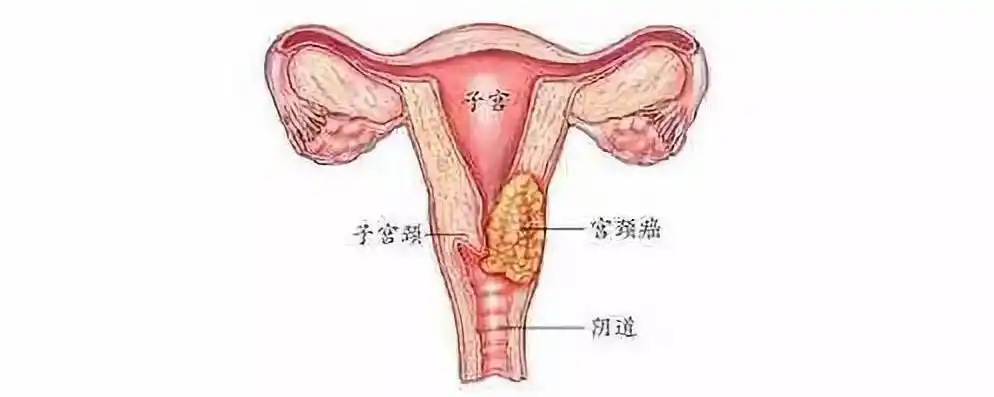 宫颈hpv值多少正常