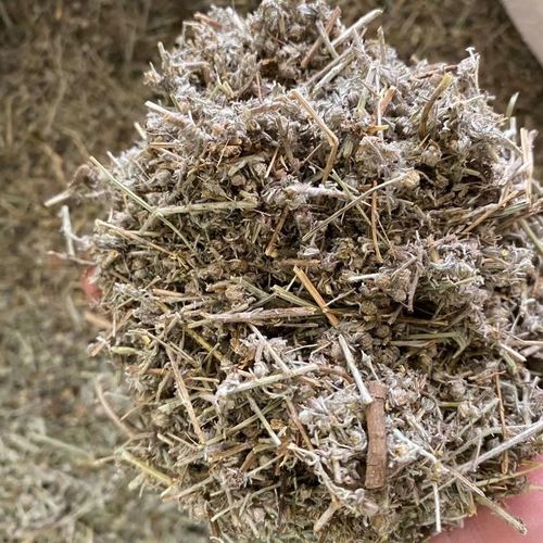 中药材 小白蒿 500克 别名 小白蒿 白蒿 冷蒿 白蒿 小艾