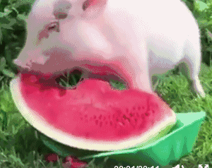 我的是啤酒,冰淇淋和西瓜.喜欢夏天的点个zan吧.