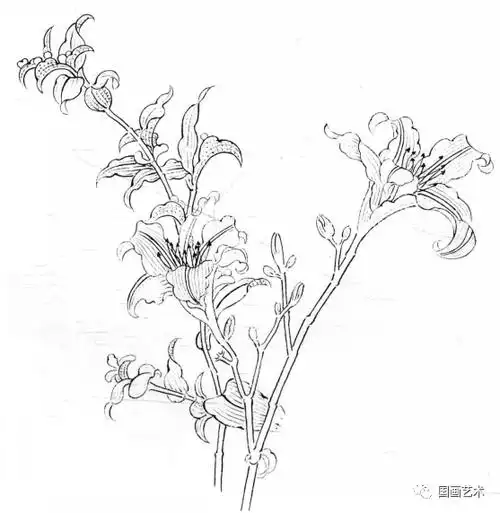 母亲节,我们继续学画萱草吧!