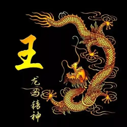 龙的传人,龙马精神,姓氏头像