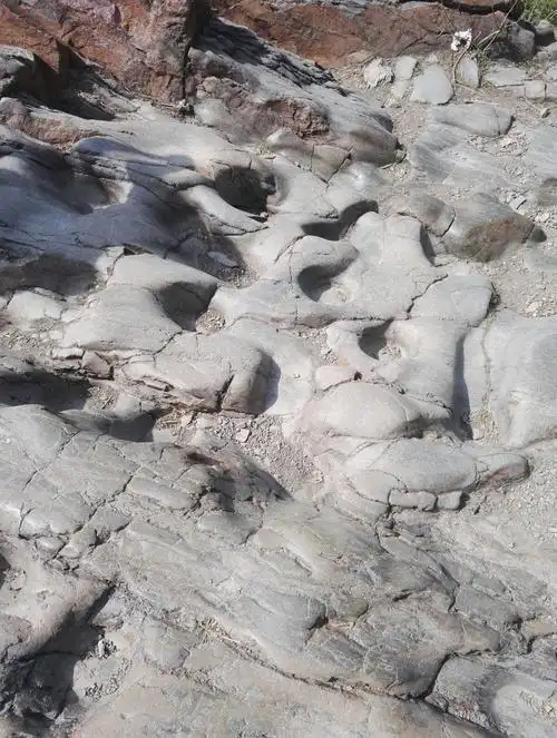 马蹄窝,都是马踩的脚印