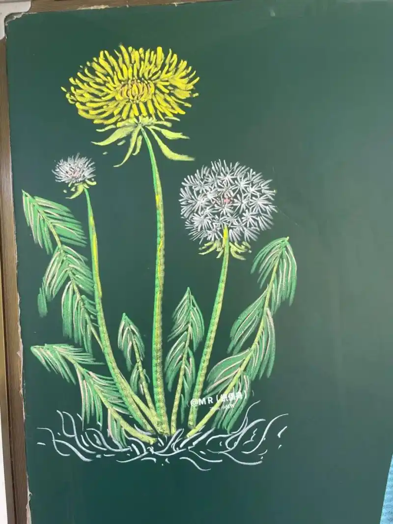 小花花呀[害羞][害羞][害羞]#5g入秋# #笔记灵感# #粉笔画# #黑板报