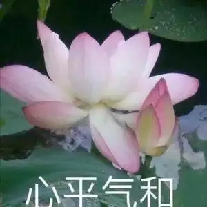 每天面对生活淡然一笑头像