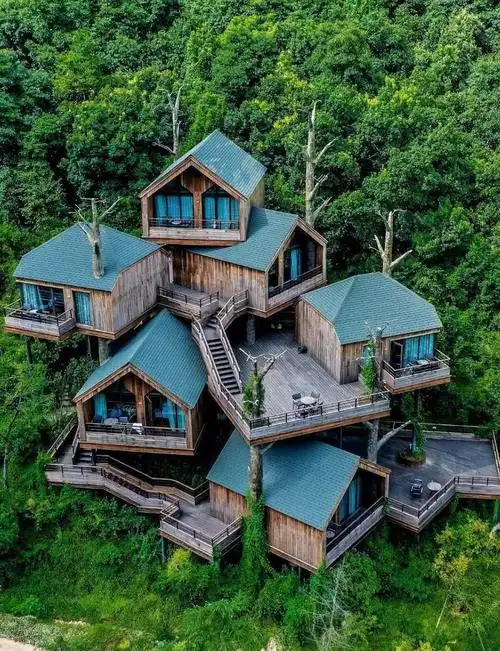 住进森林里的树屋城堡 发现这家酒店时,我的心都要碎了!它真的太美了!