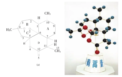 除了对抗疟疾,青蒿素还有哪些神奇新作用