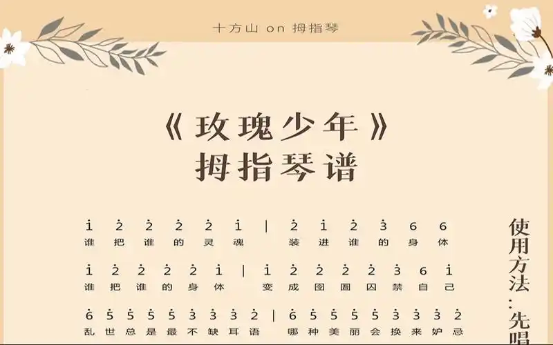 玫瑰少年完整版拇指琴谱