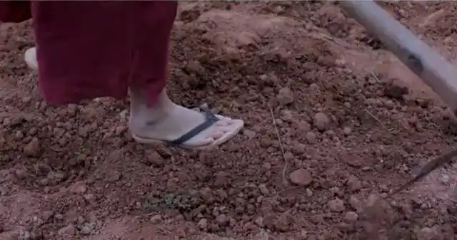 李子柒真翻车?穿拖鞋"锄地"看清细节,农村人:难道不怕铲到脚