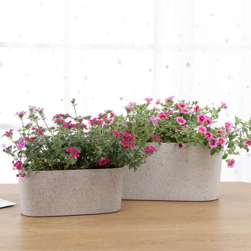 阳台窗台超窄花盆长方形窄长条长形懒人花盆自吸水树脂无孔储水盆