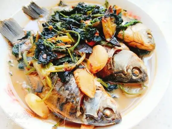 紫苏常见的吃法,做法简单味道香,连孩子都爱吃