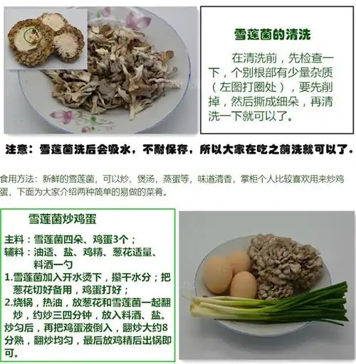 云南特产新鲜雪莲菌500g 白参菌食用菌蘑菇似干巴菌 顺丰