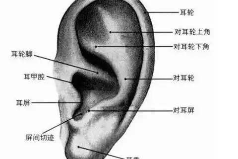 耳珠有痣者财运不错,但是容易财来得快也取得快.