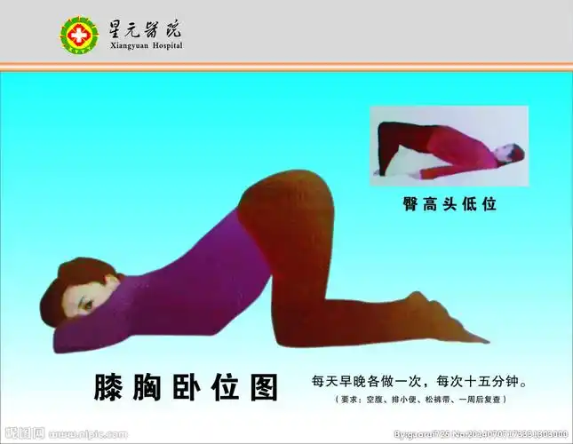 cdr(x4)颜色:cmyk30共享分举报收藏立即下载×关 键 词:膝胸位 体位