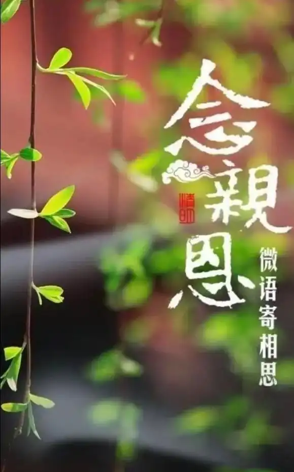 奶奶啊,一路走好,您长眠,我常念.您用一生的时间照顾了我们四 - 抖音
