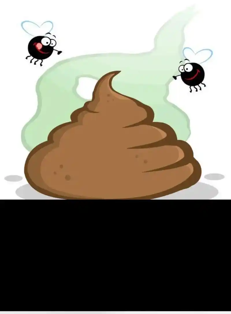 说的一点都不错,只有屎才招苍蝇00,也只有苍蝇最喜欢屎9317