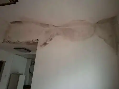 楼上漏水情况,除标明时间外,其他都是今年11月所拍