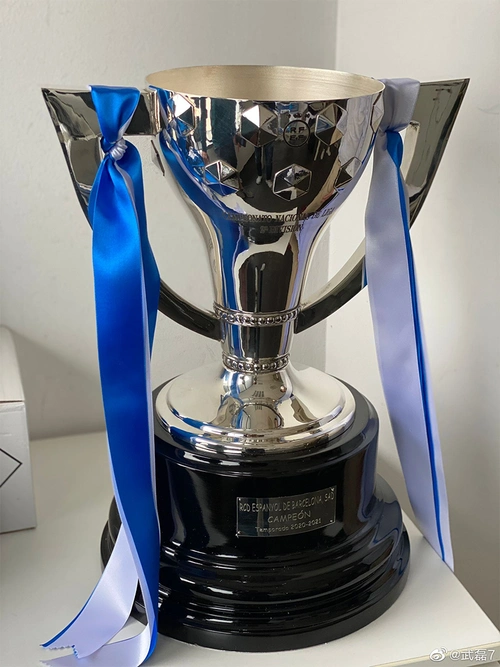 留洋生涯首个冠军,武磊微博晒西班牙人问鼎西乙冠军奖杯照