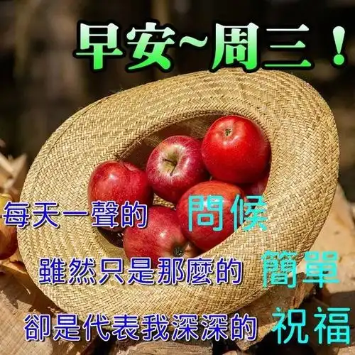 星期三群发清晨早上好问候祝福动态表情图片_腾讯新闻