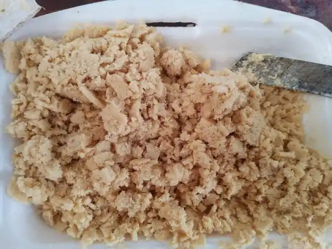 专业生产黑水虻虫卵