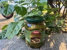 越南进口蔬菜泡菜腌菜下饭菜cucumber青瓜680g开胃酸黄瓜小青瓜