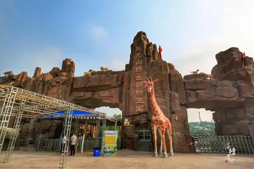 原创端午出行指南,河南这家动物园有两只大熊猫,吸引了众多游客到来