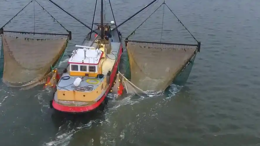 地球上最大的捕鱼船,造价高达几亿,捕捞量惊人