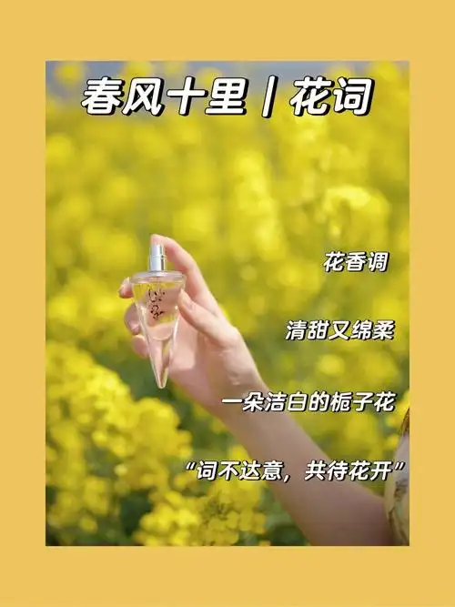 春风十里香水花词词不达意共待花开