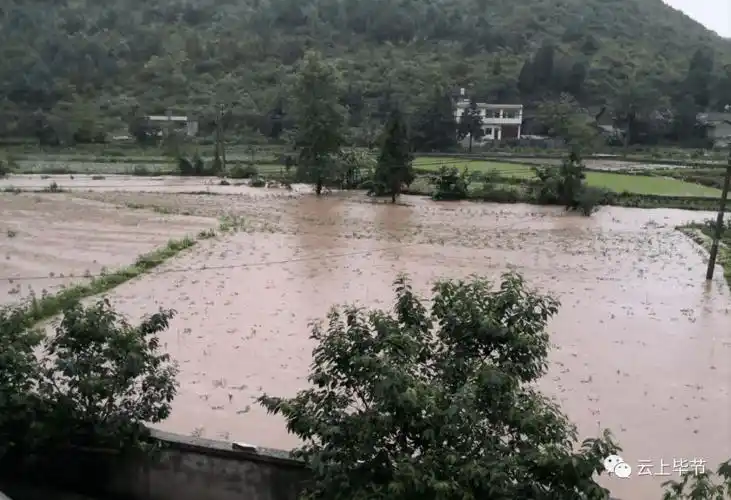 毕节多地遭受暴雨袭击相关部门积极展开应急救援工作