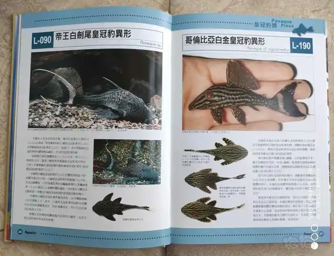 【其他】异形书籍《珍爱异形》,全新.