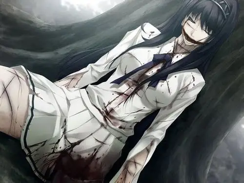 出自游戏《壳之少女》