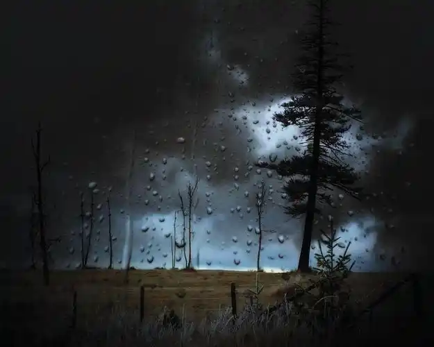 风雨如磐,景观,水滴,天空,天气,树木,云彩