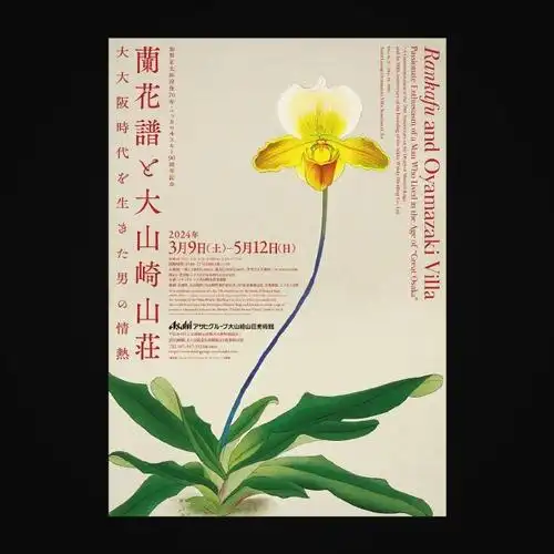 各种图文排版海报设计