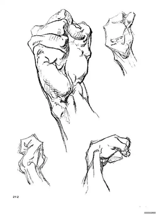 伯里曼人体结构绘画 (216).jpg