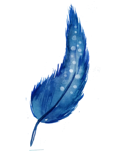 young采集到羽毛 水彩羽毛 彩色羽毛 素材 羽毛 花羽 唯美羽毛 水彩