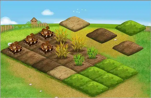 而new帮你划好了田地的分块(数组),帮你播了种