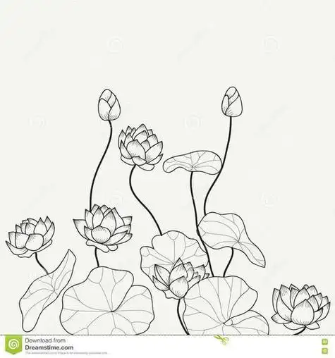 儿童简笔画荷花池塘1等奖