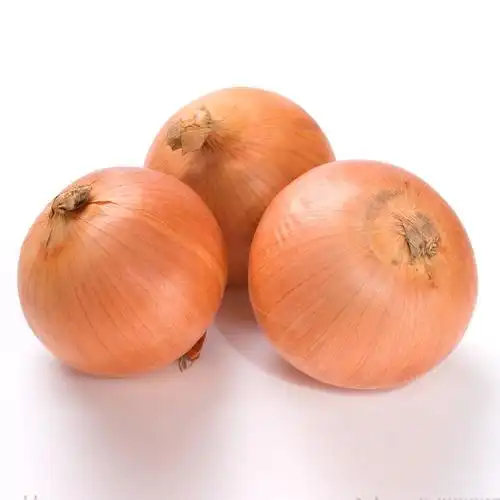 quality fresh yellow onion vegetables new crop for wholesale