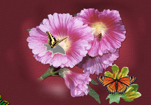 人生不必斤斤计较,让自己怒火攻心.语云"百事从心起,一笑解千愁".