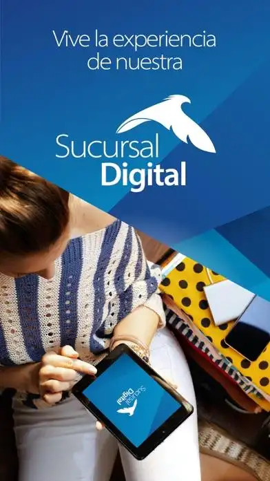 capital.基本信息