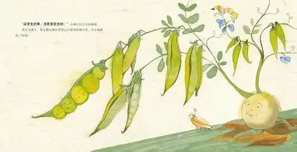 >> 文章内容 >> 五颗豌豆的故事 安徒生童话《五颗小豌豆》原文答